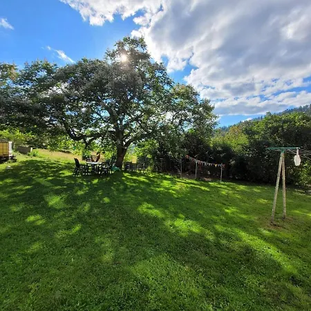 Cosy Dans Les Vosges *