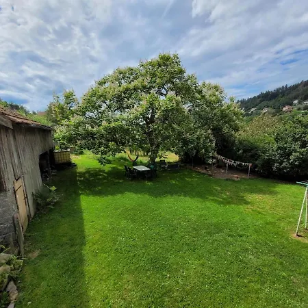 Cosy Dans Les Vosges *